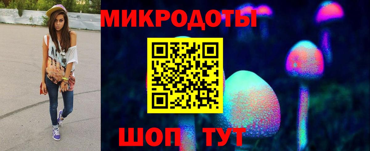 Псилоцибиновые грибы Psilocybe  Вход с VPN  Щёлково  наркошоп  Псилоцибиновые грибы GOLDEN TEACHER 